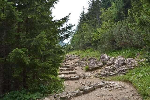 Apartamenty z basenem w zakopanem – luksusowe opcje na wypoczynek